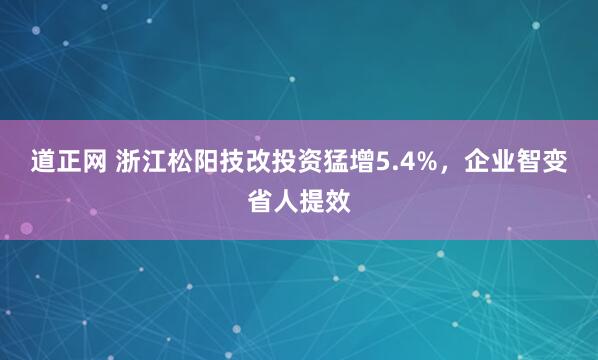 道正网 浙江松阳技改投资猛增5.4%，企业智变省人提效
