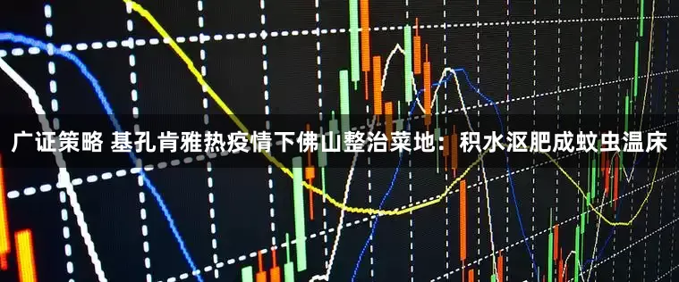 广证策略 基孔肯雅热疫情下佛山整治菜地：积水沤肥成蚊虫温床