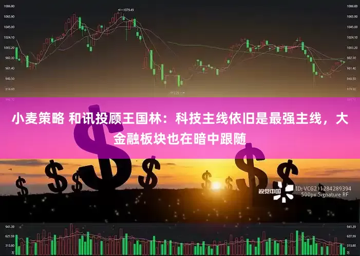 小麦策略 和讯投顾王国林：科技主线依旧是最强主线，大金融板块也在暗中跟随